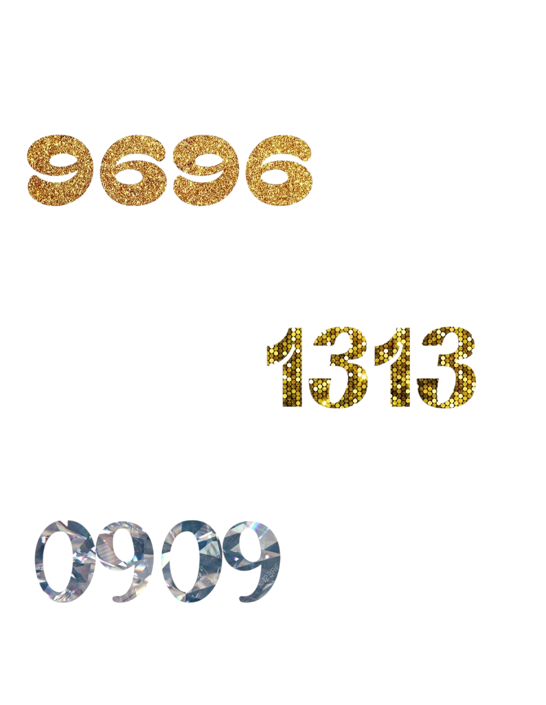9696 1313 0909