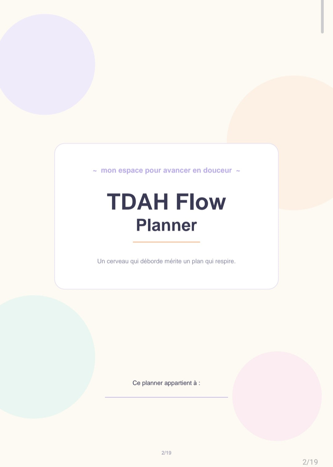 TDAH Flow planner/ ADHD Flow planner (Français/Anglais)
