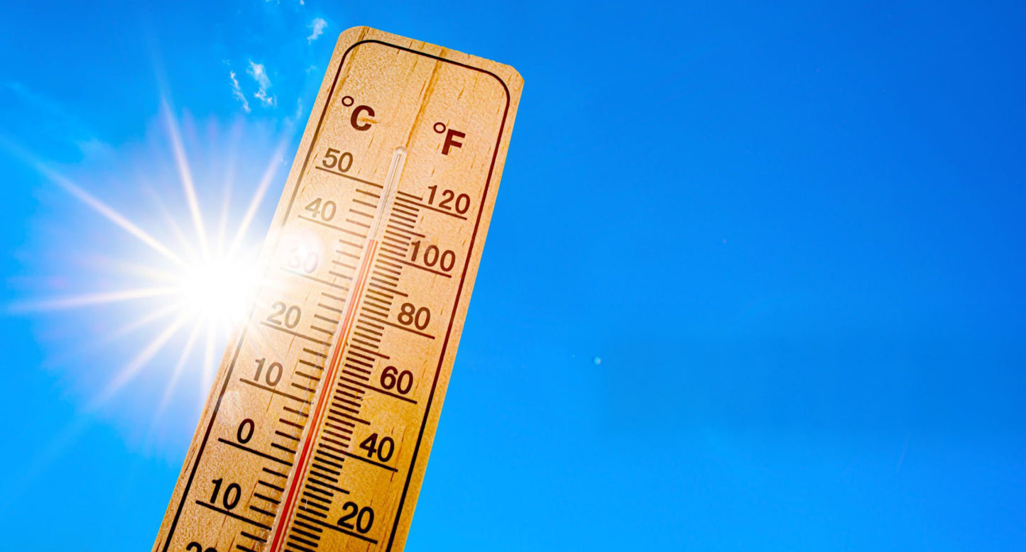 La canicule peut tuer en silence, découvrez comment vous protéger (ebook)/ Heatwaves can kill in silence, learn how to protect yourself (Français/ English)