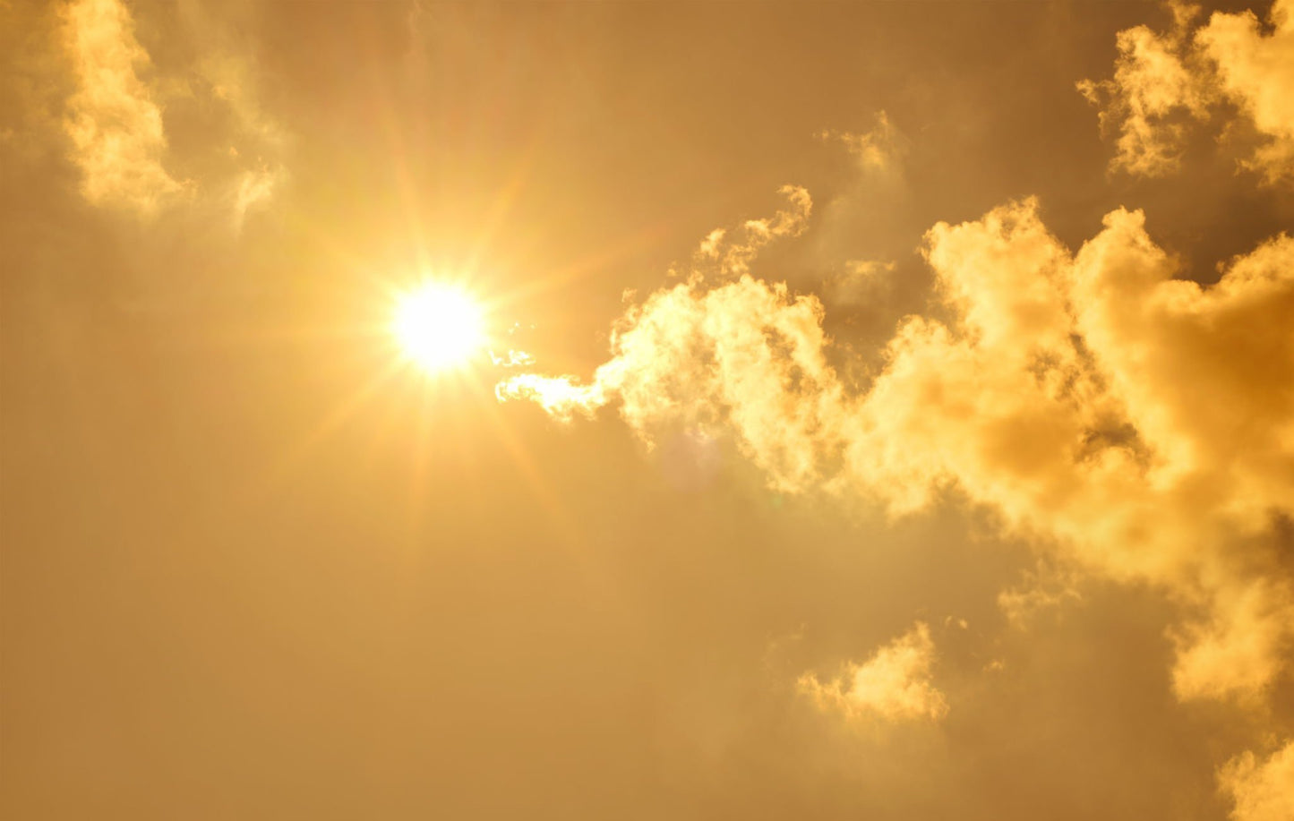 La canicule peut tuer en silence, découvrez comment vous protéger (ebook)/ Heatwaves can kill in silence, learn how to protect yourself (Français/ English)