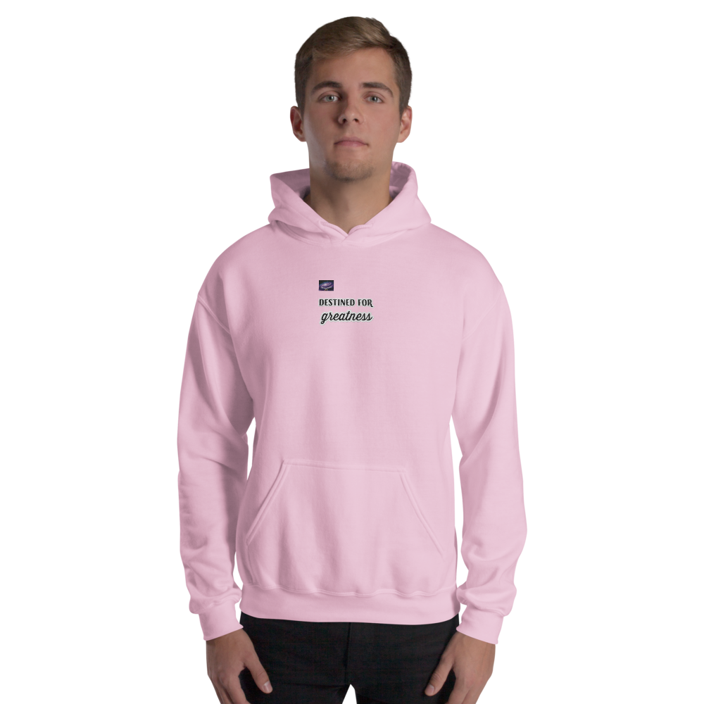 Sweat à capuche - Destined for greatness (homme/femme)