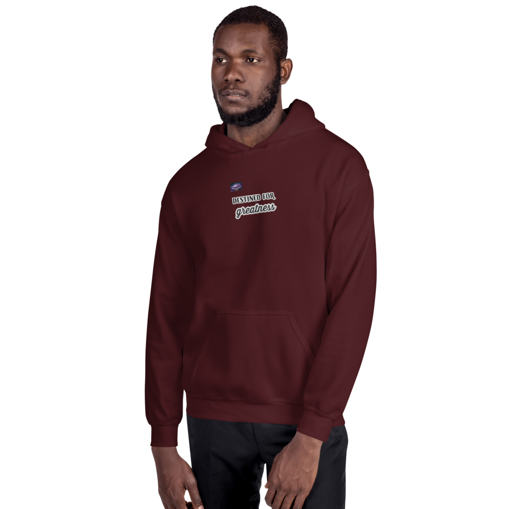 Sweat à capuche - Destined for greatness (homme/femme)